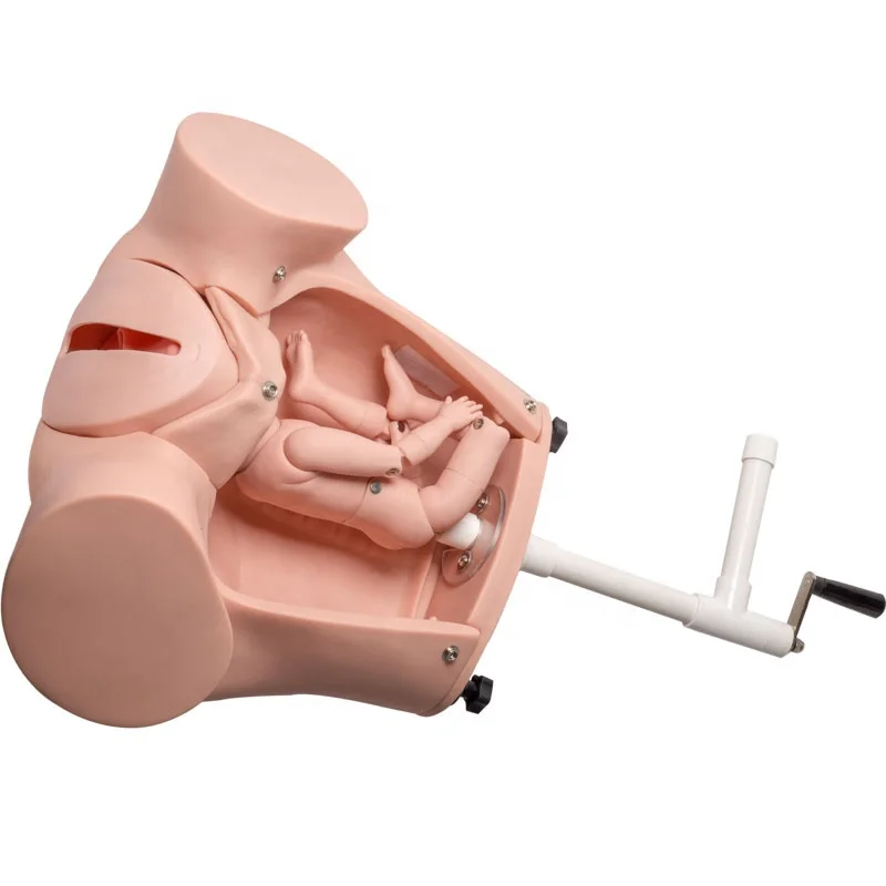 Medical Science Childbirth Model F53 Childbirth Training Model with Delivery Mechanical Parts