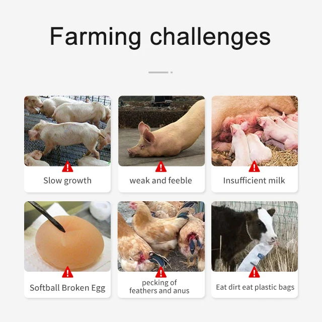 High quality vitamin additives for pigs  cattle  and sheep to supplement trace element additives vitamin powder animal