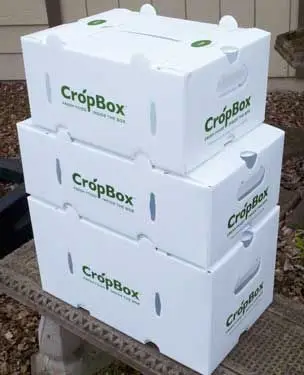 PP Hollow Sheet Frozen Fish Packing Boxes for Fish Seafood