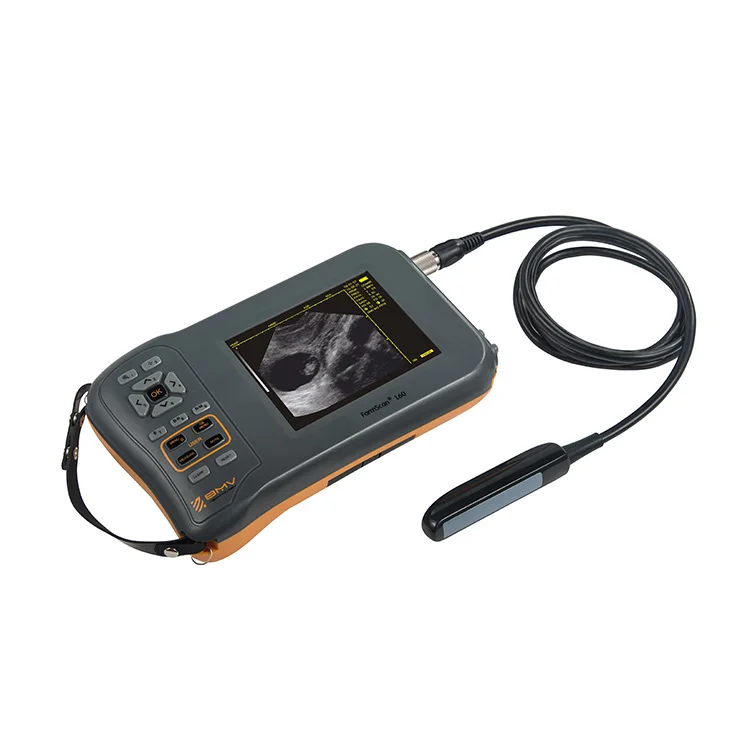 BMV Farmscan L60 Handheld Portable Cattle Equine Sheep Pig Ultrasound Scanner Ecografo Veterinary Ultrasound