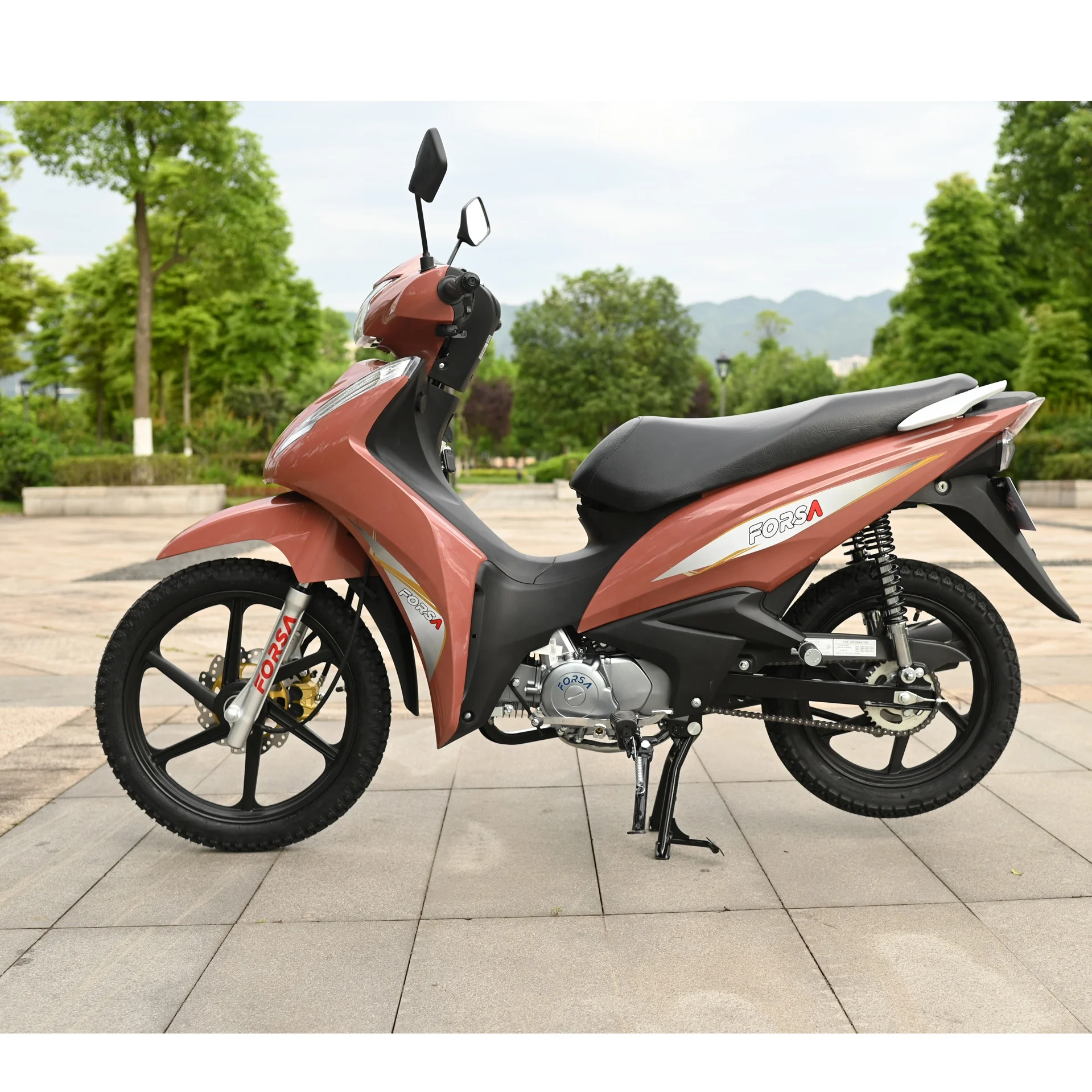 135cc Motorcycle FS135-B12 Forsa Cub Gasoline Motorcycle  China Manufacturer