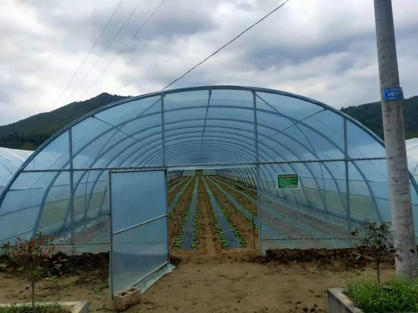 
Clear Plastic Shed Tunnel greenhouse 