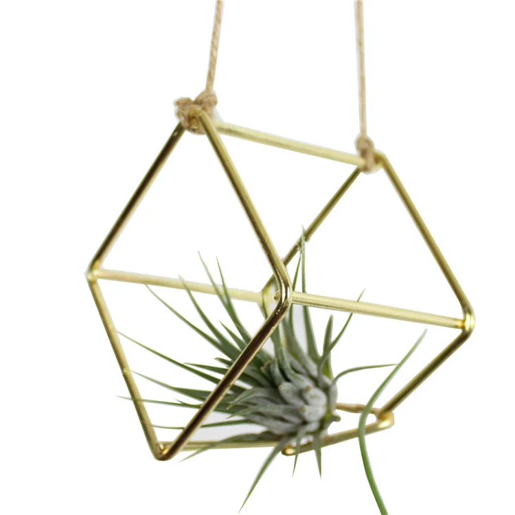 Container Iron Cubic Geometry Four Airplant Receptacle Tillandsia Gold Flower Small Metal Hand Carved