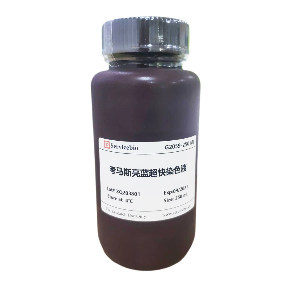 250ml Coomassie Bright Blue Ultrafast Staining Solution