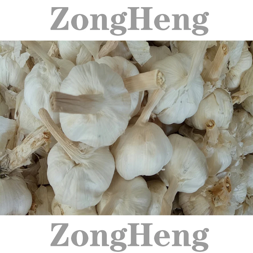 
2020 wholesale cheapest price china garlic 