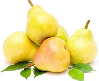 New crop of fresh China pear for sale