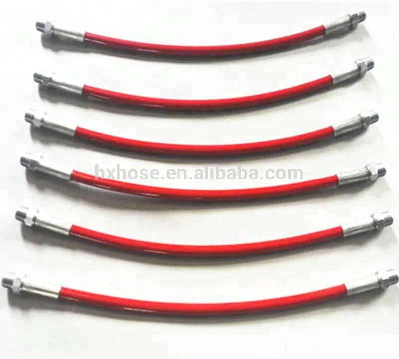 Высококачественный СНГ-шланг высокого давления 20 футов для станции СНГ