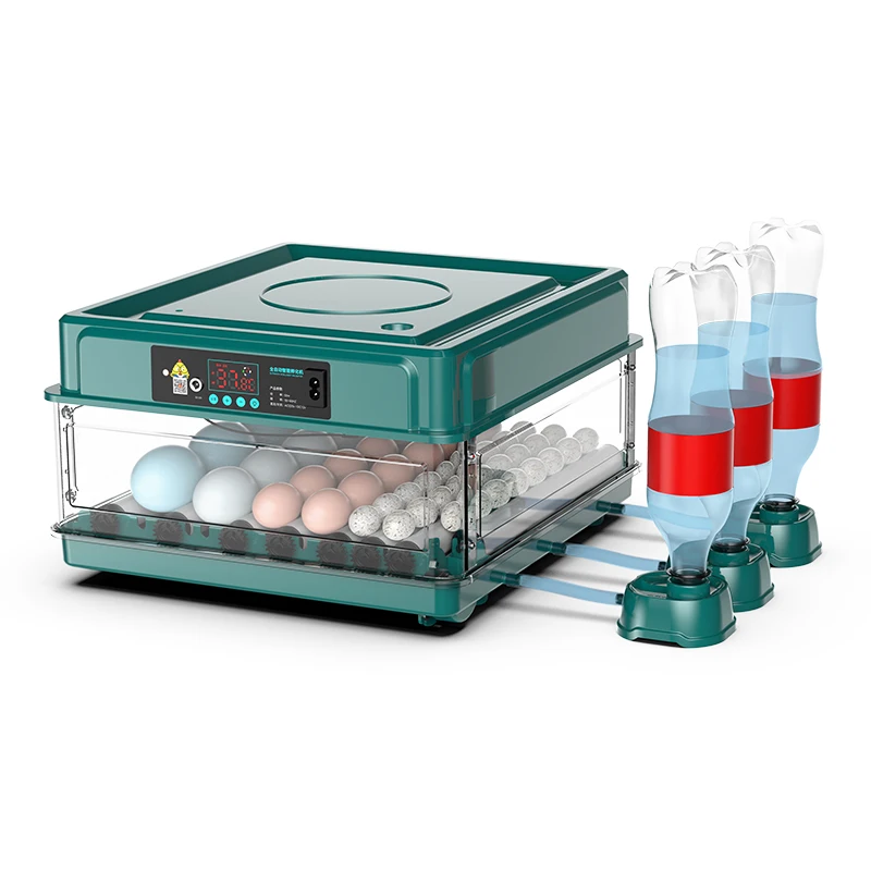 Automatic Temperature Control 48 Eggs Fully Automatic Mini Incubator For Chicken
