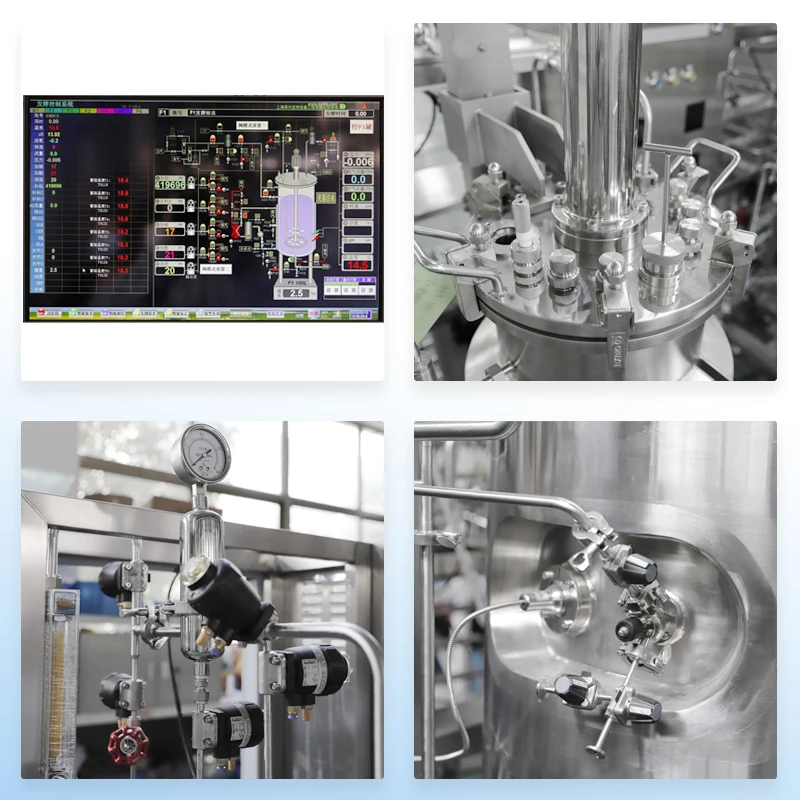 Stainless Steel Industrial Bioreactors 100L 200L 500L 1000L