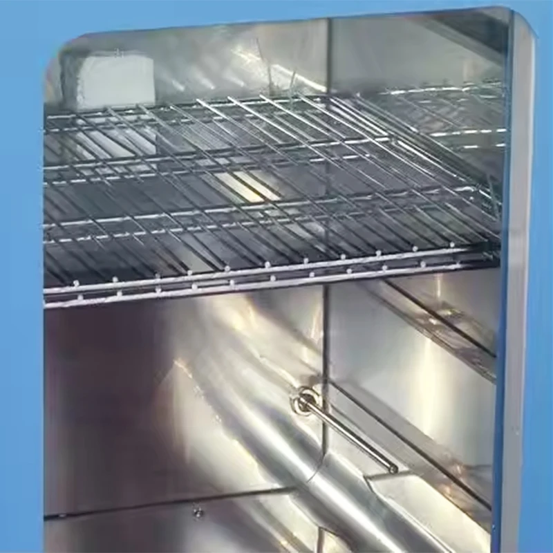 Vertical Horizontal Type Thermostatic Incubator Digital Display for Laboratory Medical Biological Microbiology IN-A162S