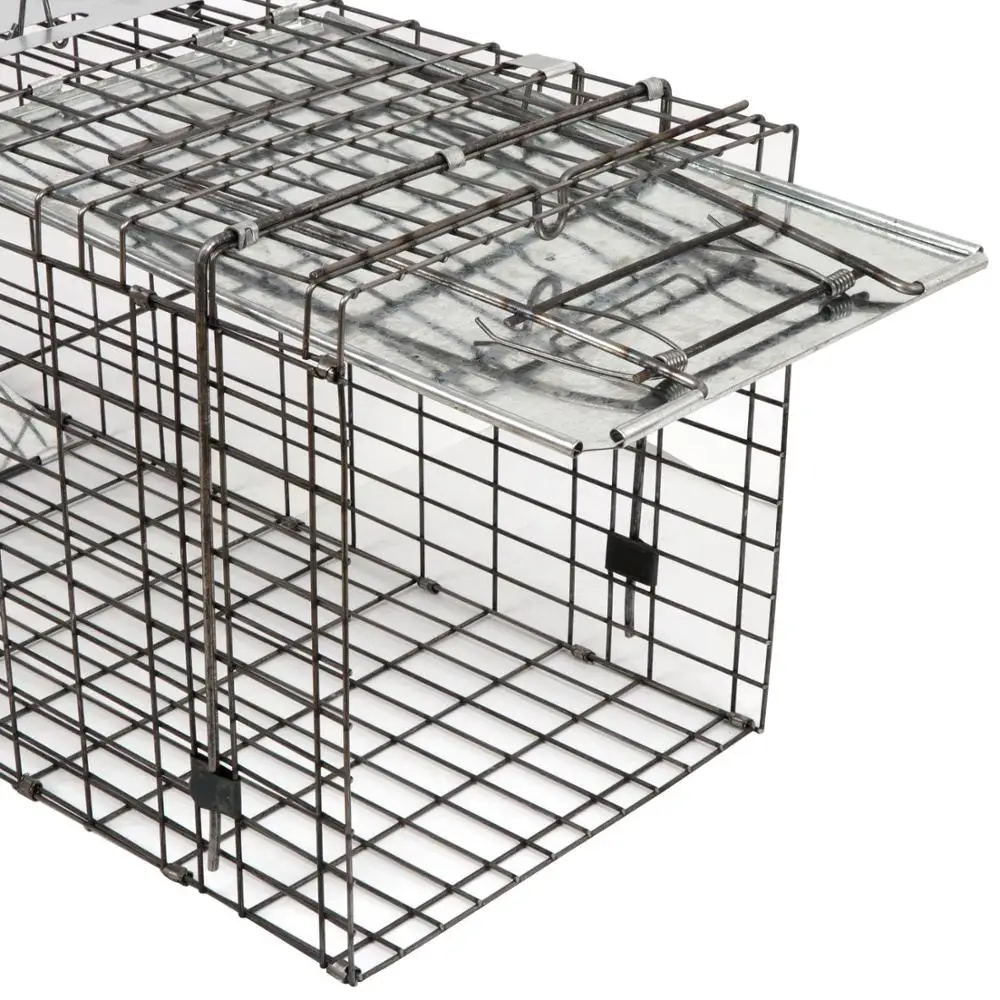 42' Live Animal Trap Cage Humane Cage Catch Metal Steel with Handle, Release Rats Mouse Mice Rodents Squirrels