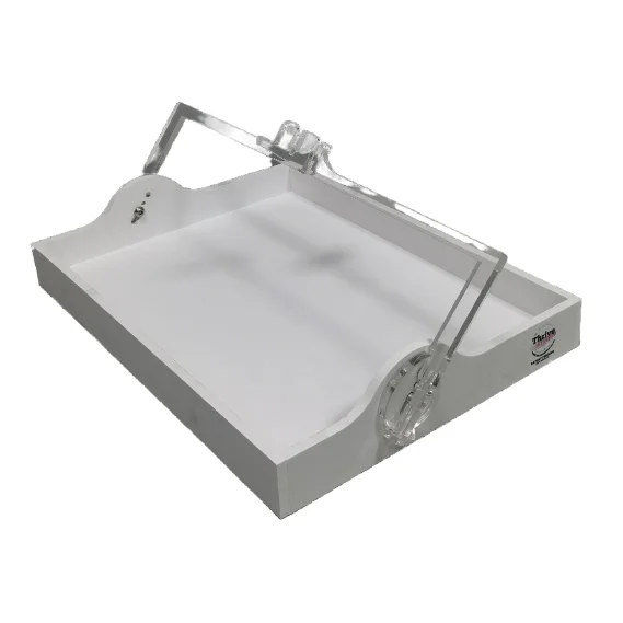 Factory  Home Fruit Acrylic Acrylic food delivery plate best selling
