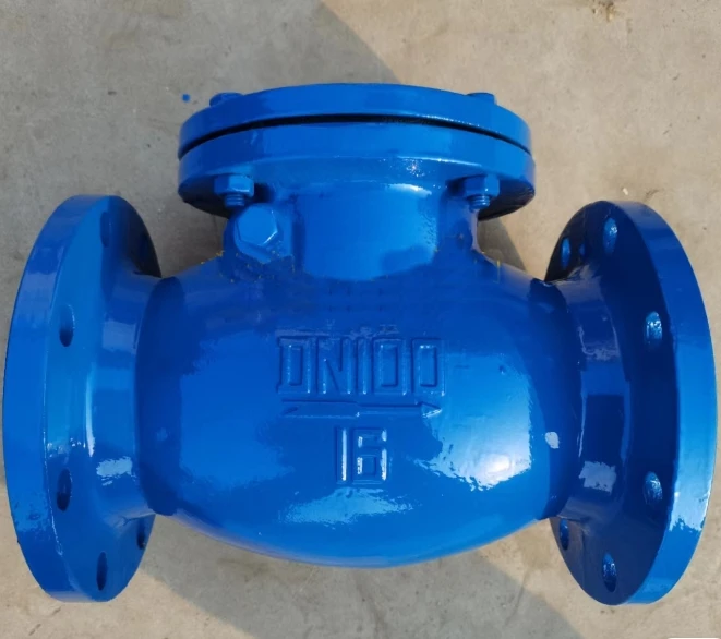 BS standard  DN150 GGG50 body good quality price list valved check swing check valve non return valve