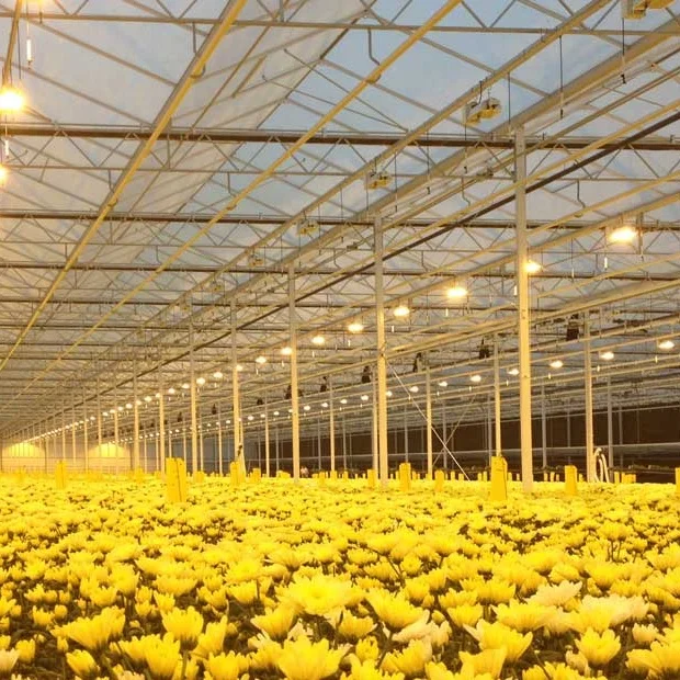 
 Легкая лишения, легко собранная многослойная Коммерческая теплица Venlo Блэкаут для продажи  
