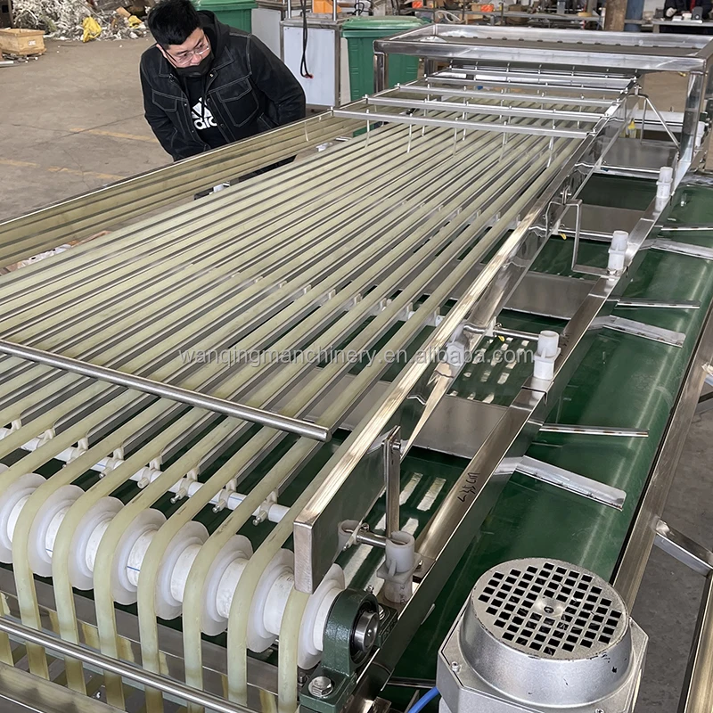 Automatic Fruit Vegetable Grading Machine for Size Sorting Pomegranate Sorting Machine Cherry Sorter