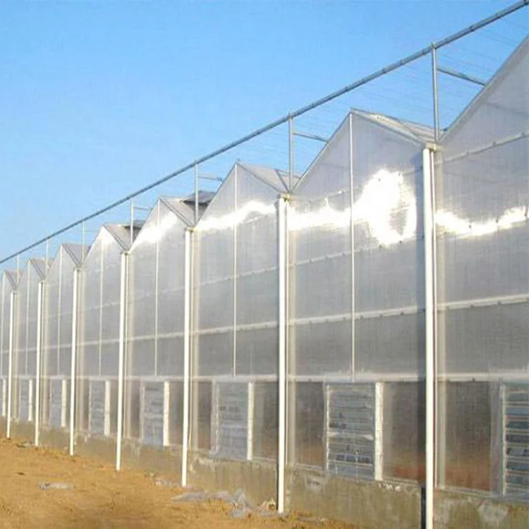 10 Years Warranty 10mm Polycarbonate Sheet Agricultural Greenhouses  for Sale