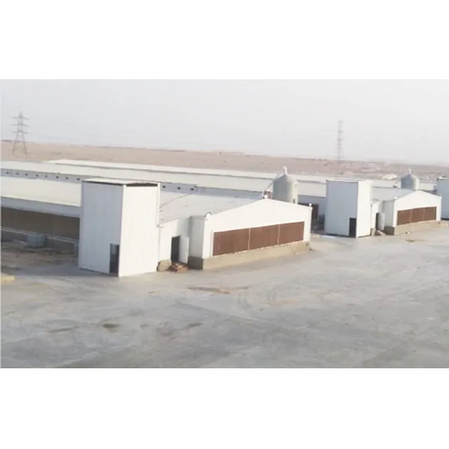 10000 Chickens Moderate Price Large Scale Automatic poultry farm design broiler chicken farm
