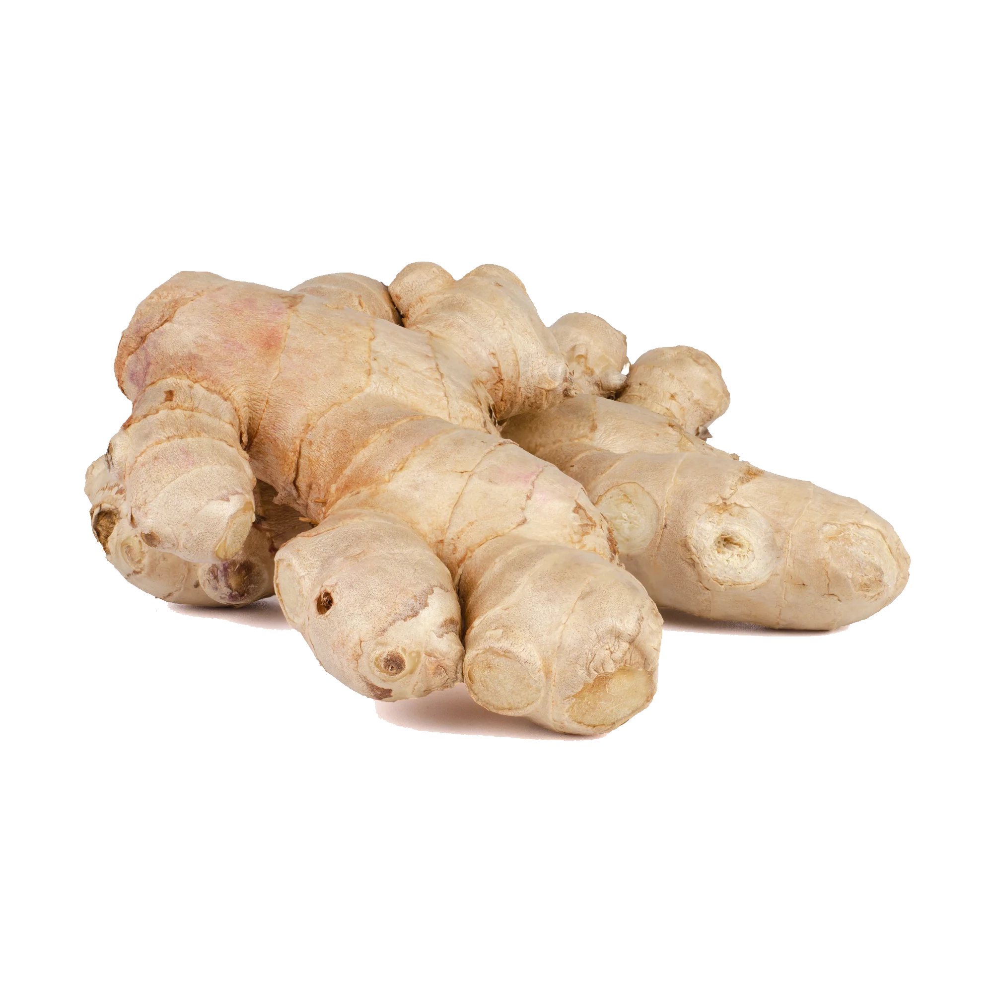 Fresh Ginger - WhatsApp +84988667319 Fresh Ginger for Cooking and Drinking from Viet Nam manufacturer