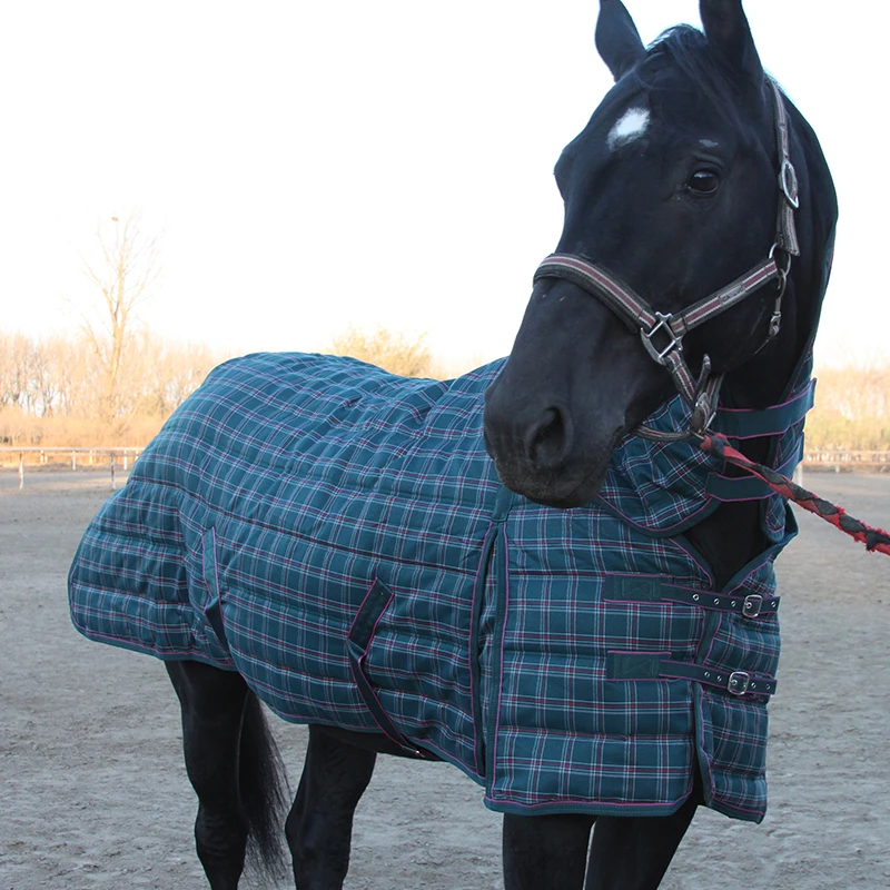 Breathable Stable Polyester Horse Blanket Combo horse rugs