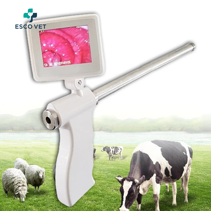 Farm Veterinary Breeding Kit Cattle/Horse/Pig/Sheep Visual Insemination Gun, Animal AI Gun,  Artificial Insemination Device