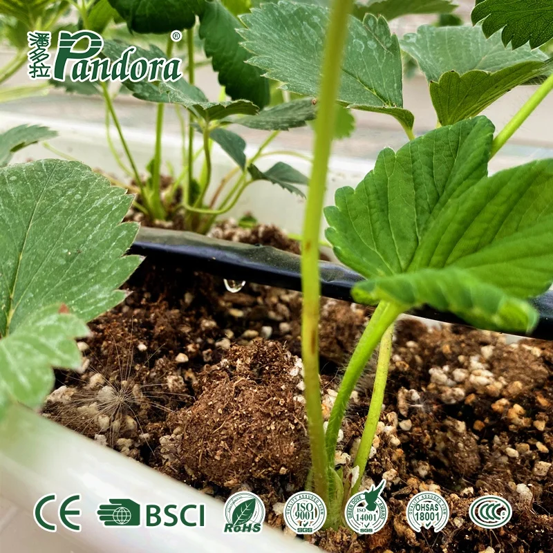 PE patch Water saving other watering drip irrigation tape