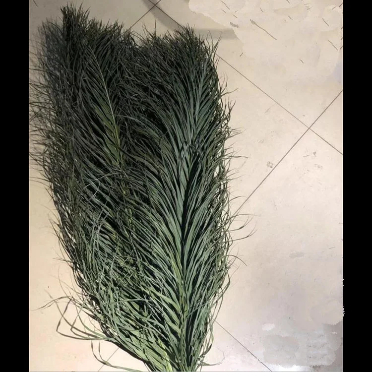 factory Direct price dried  flower preserved decorative palm leaf natural real dried palm leaves for home decor