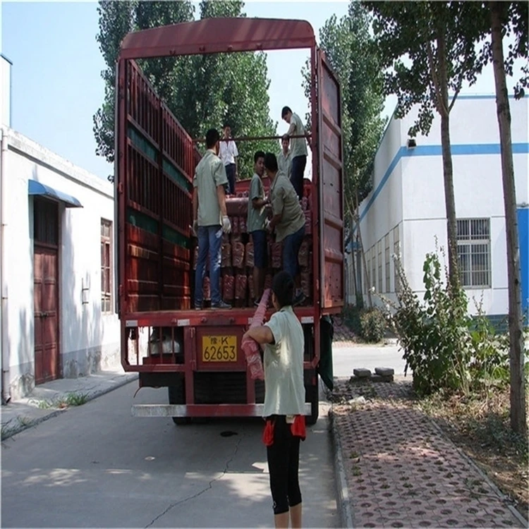 25 Medical Teaching Resources Equine Skin Microscopy Prepared Slides Histology Slides