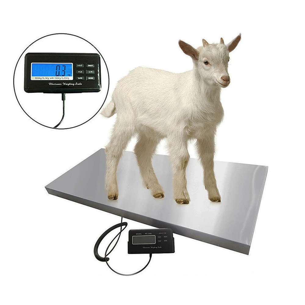 500kg 0.1g heavy duty stainless steel pet scale digital animal weighing scale with indicator