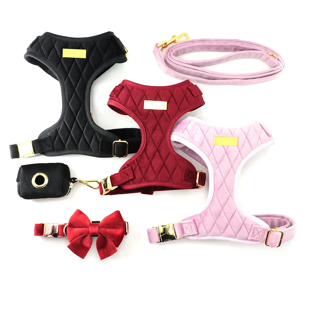 2024 Custom Colors and Patterns Velvet Dog Harness Set with Rose Gold Metal Buckles suit for Puppy Dog