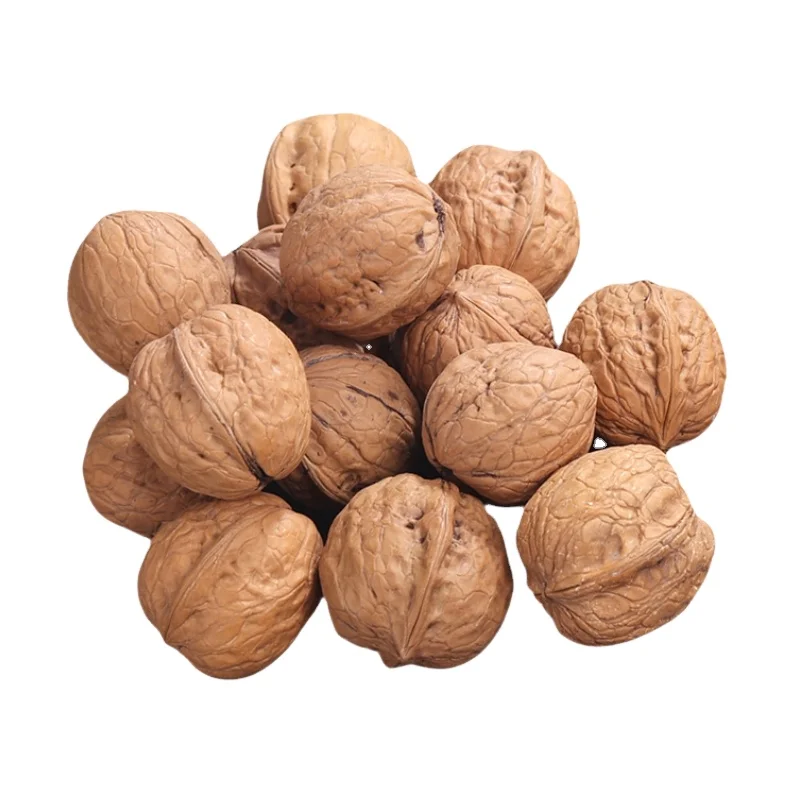 Wholesale High Quality Gansu Hualong xin feng Walnut with shell with shell Natural Food For Sale in Bulk organic walnuts 34mm