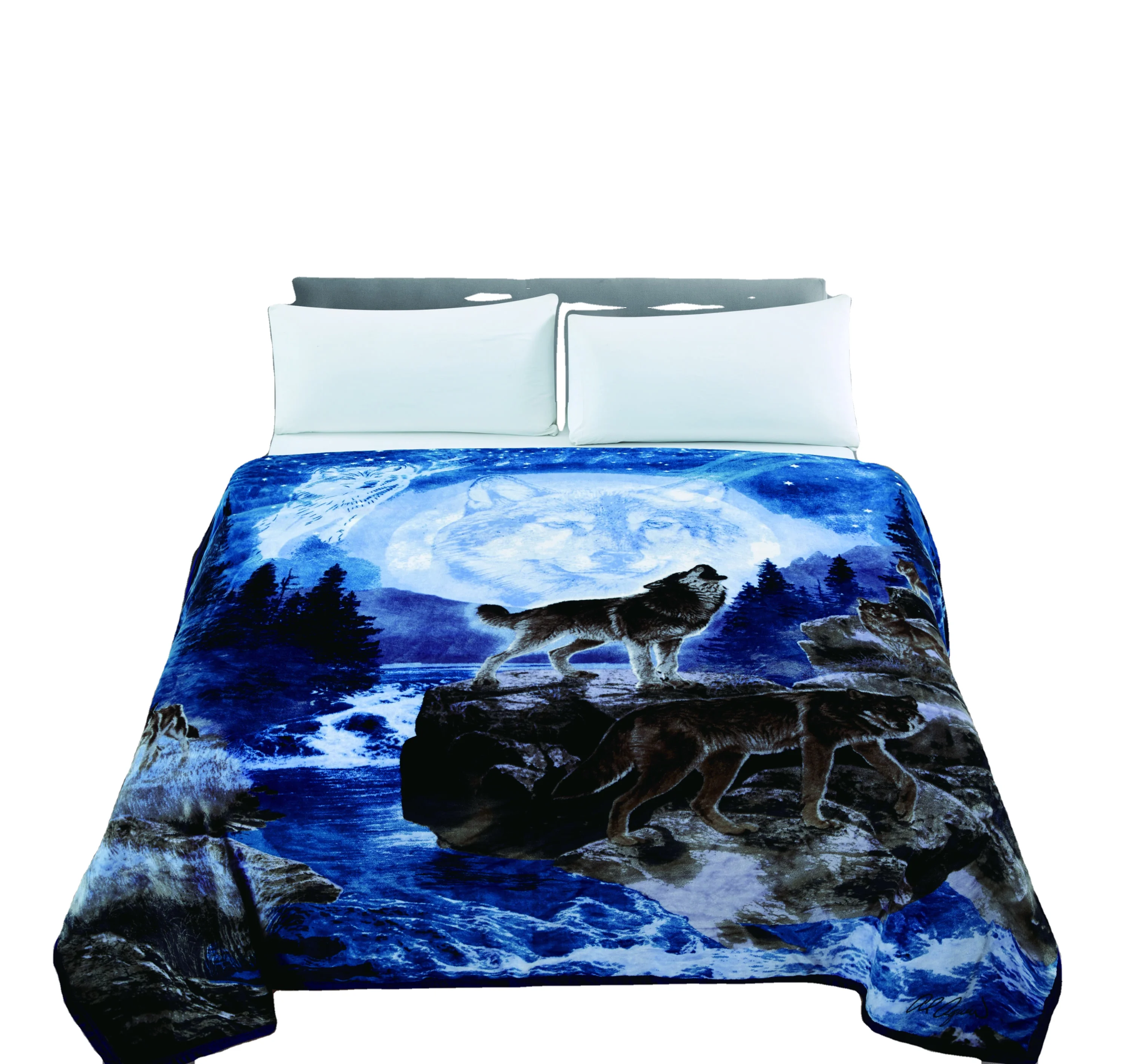 Anyu Animal Printed MOQ 1 Cheap Price 210*230cm Single Layer 400 GSM 100% Polyester Flannel Blanket in Stock Printed Blanket