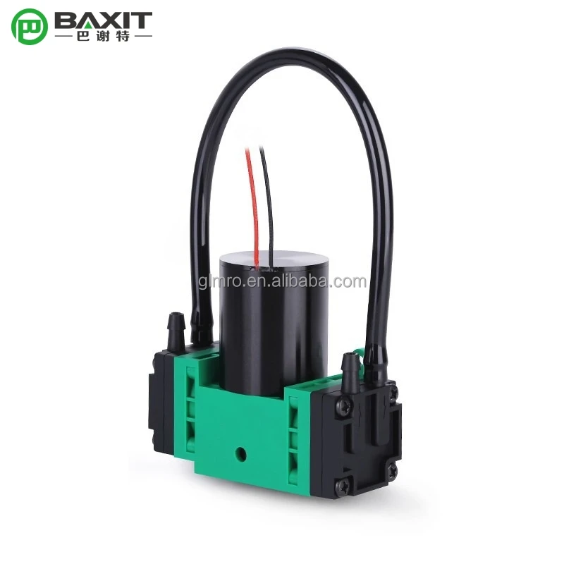 DC24V G2BK2468-2T Parallel Double Headed Diaphragm Pump Gas Vacuum Sampling pump