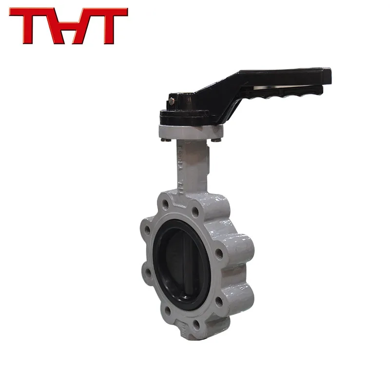 Soft seal wafer lug type butterfly valve