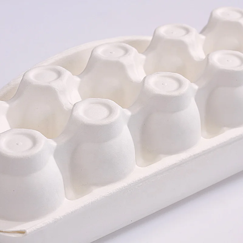 Factory Direct Wholesale Eco-Friendly Custom Disposable Biodegradable Compostable 10 12 Egg Box