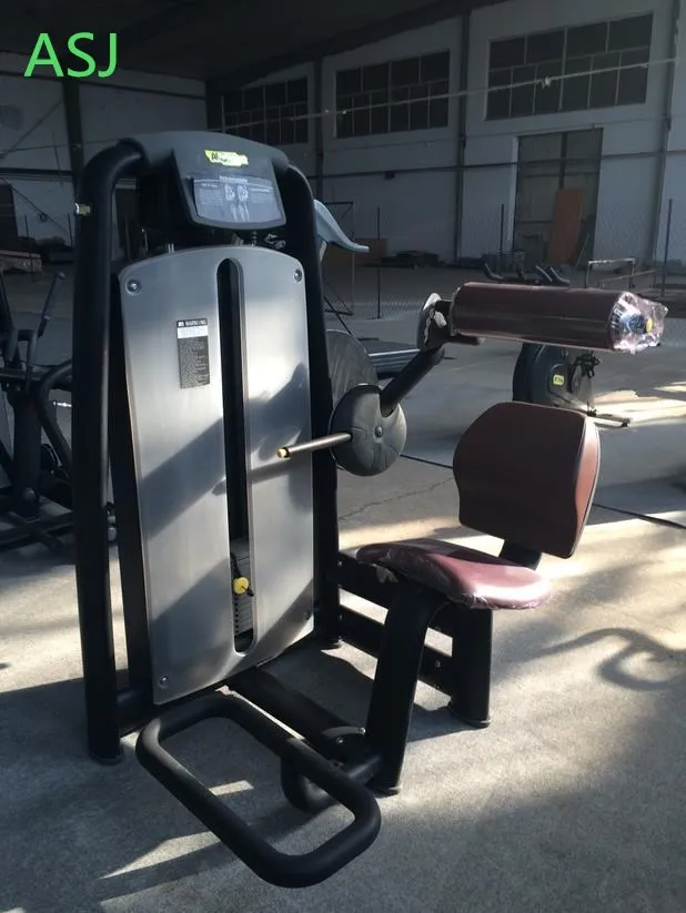 Exercise gym fitness equipment pin loaded lower back machine