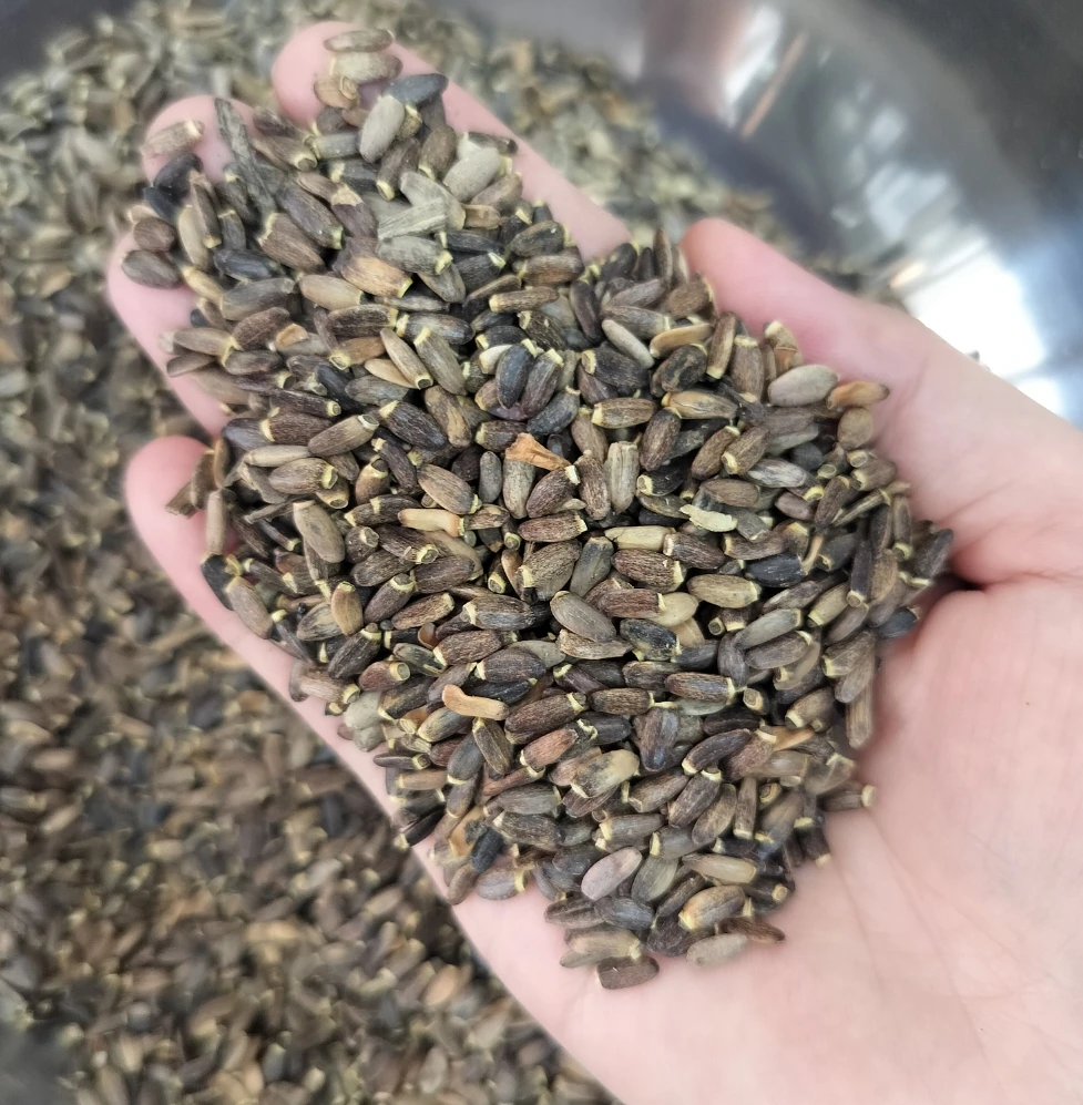 Shui Fei Ji Factory Supply Bulk Milk Thistle Seed Silybum Marianum Natural Dried Milk Thistle for sale