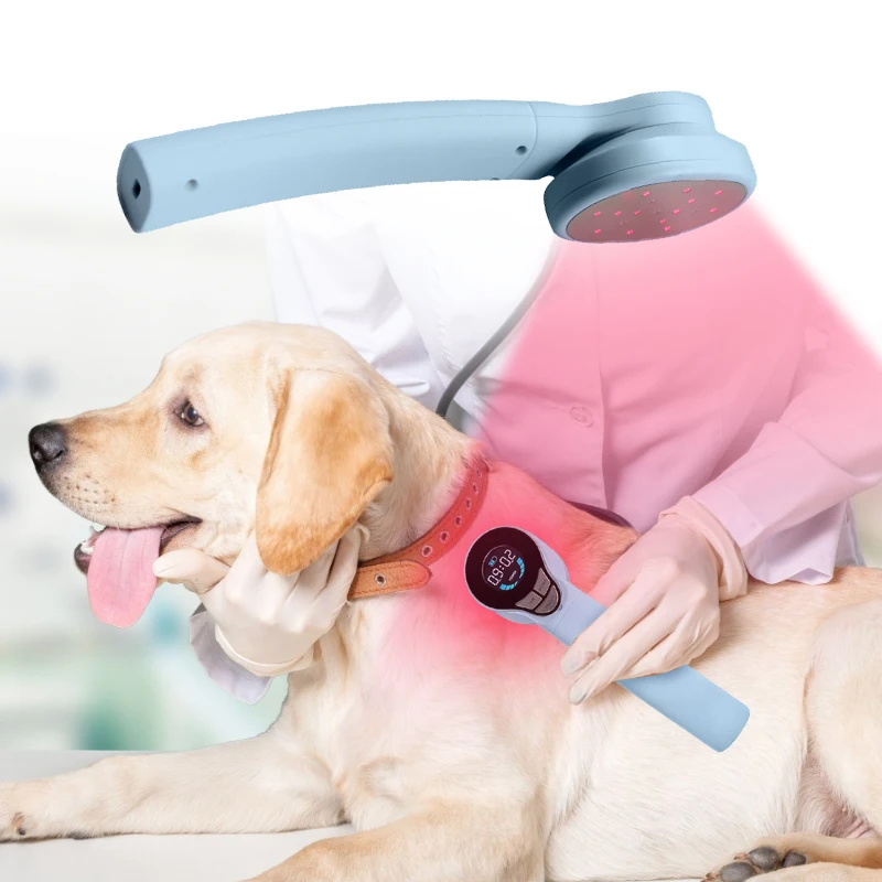 New Invention 2023 Veterinary Equipment LLLT 808nm 650nm Cold Laser Pet Arthritis Treatment Pain Relief Horse Therapy Laser