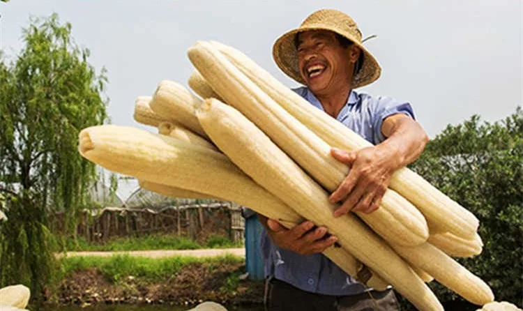 Fancy Pine Loofah Sponge for Exfoliating Skin - Hard to Soft Customizable, Yuck Free, 100% Natural Organic