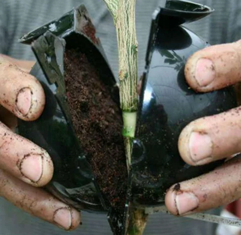 Agricultural garden tools plant rooters