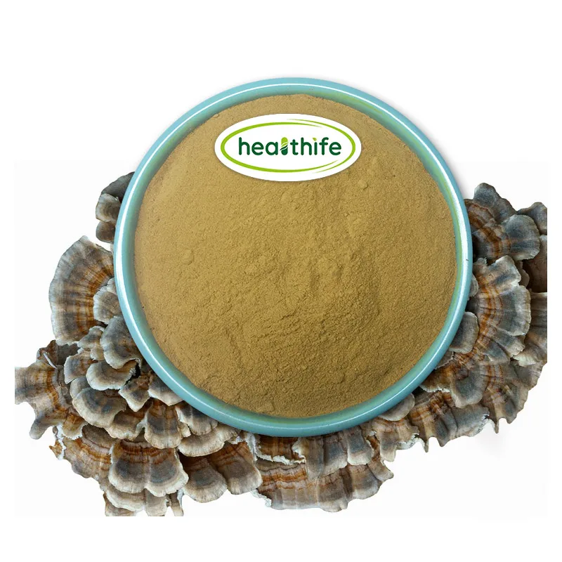 FocusHerb Coriolus Versicolor экстракт грибов из индейки