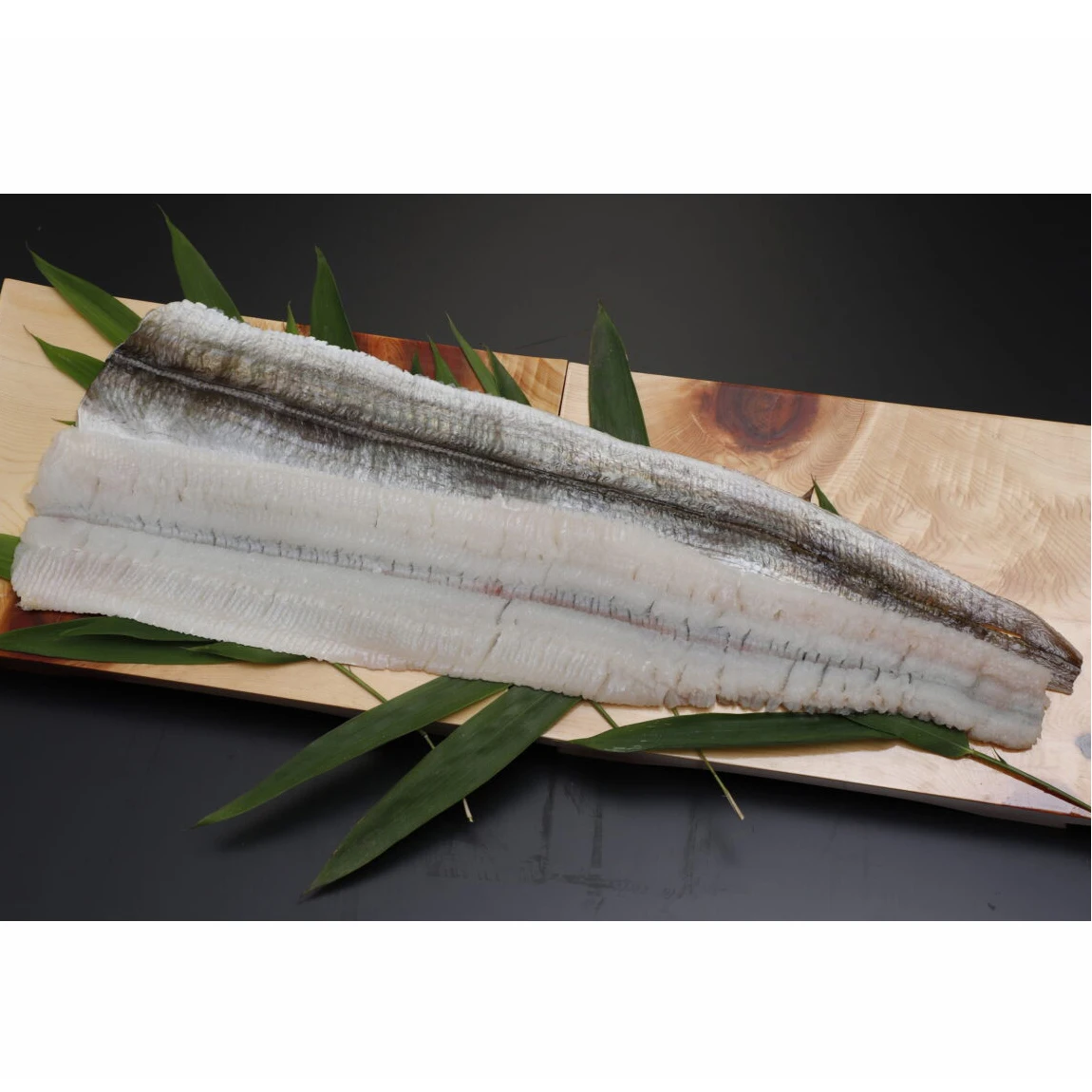 Boneless high quality frozen conger eel fish fillet for sale