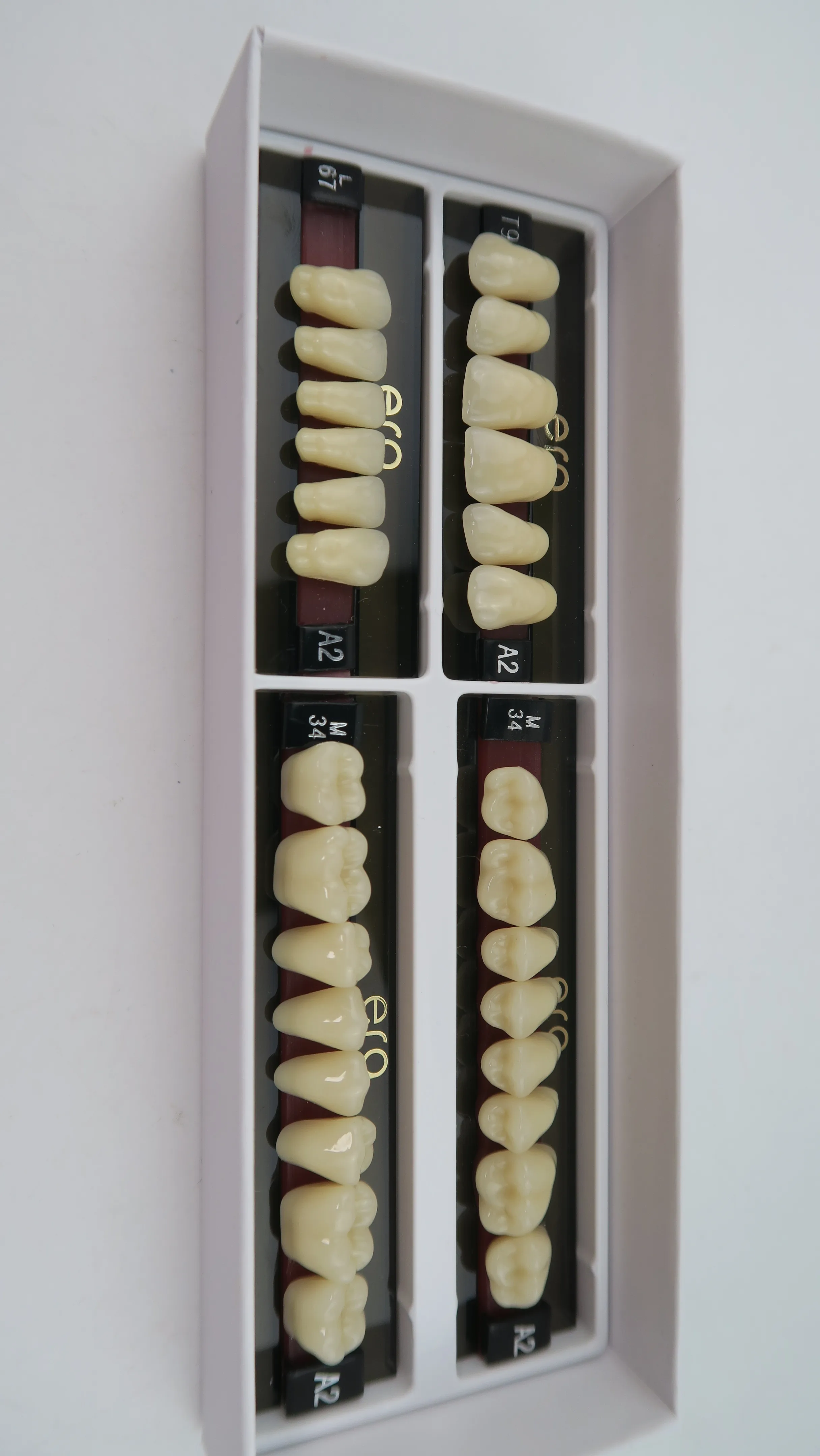 Dental False Teeth 3 layer Anterior Posterior Synthetic Resin Teeth