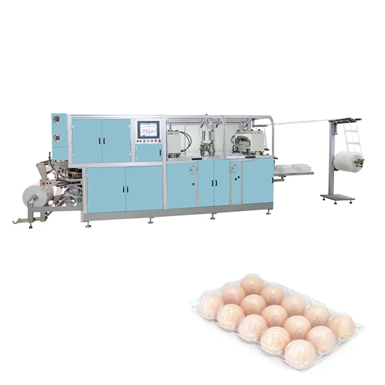 thermoforming plastic 30 pcs egg tray making machine