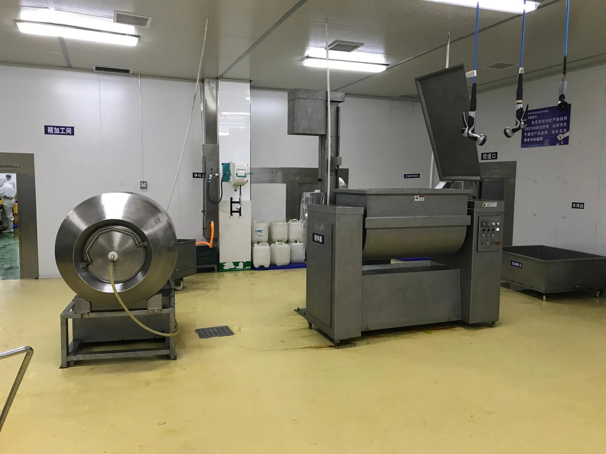 Wholesale extract Dark Green sushi Undaria Pinnatifida sargassum Organic seaweed Dried Fresh Seaweed