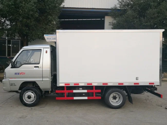 Foton mini 1ton camion frigorifique refrigerated van refrigerator cargo truck