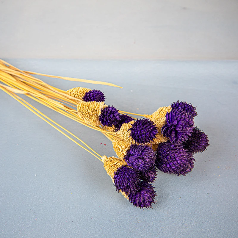 Chasewin Germany Australia top sale dried flowers real decorative flowers globe amaranth packing 15pcs each bag