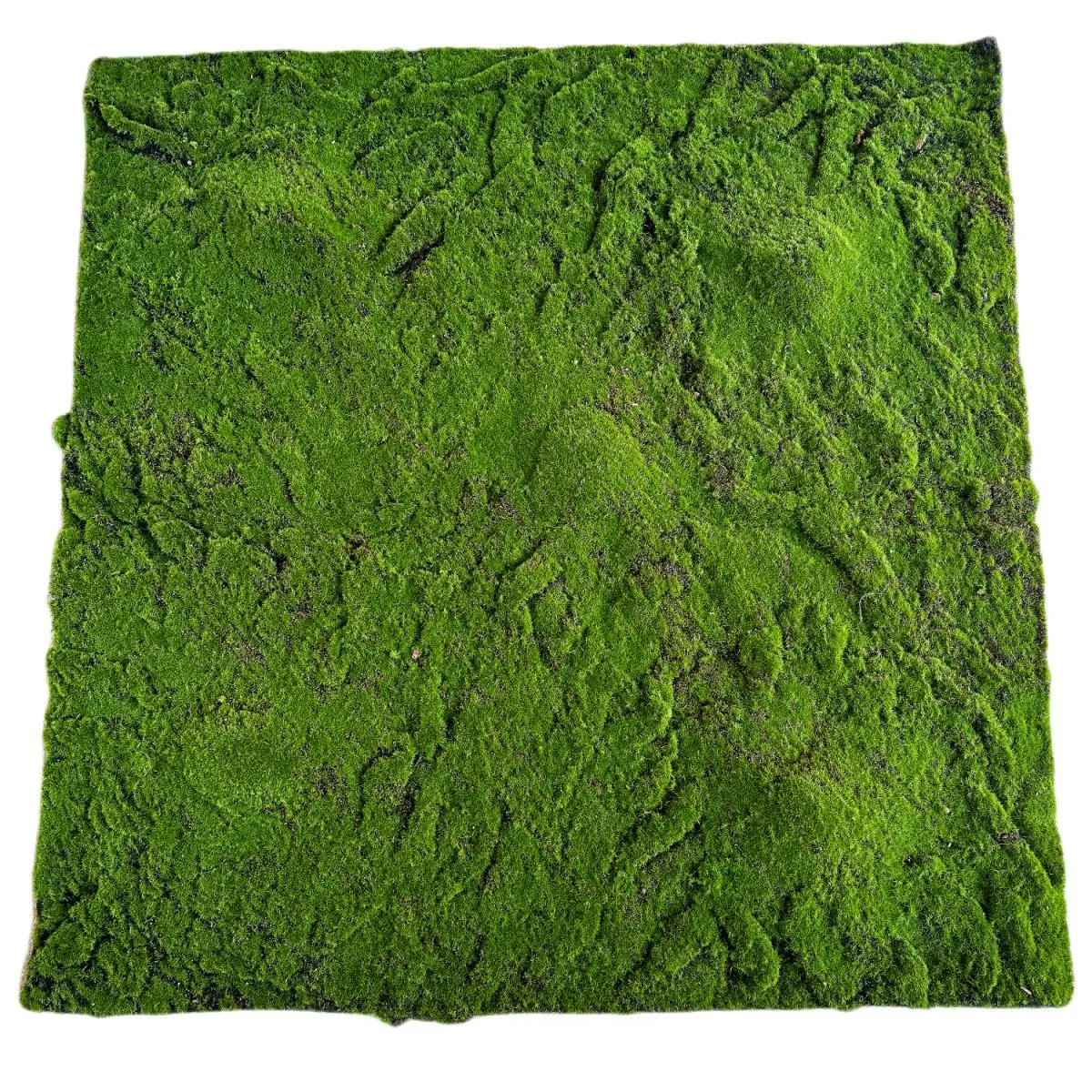 Wholesale Artificial Moss Carpet Indoor Decoration Plastic Synthetic Putting Green Artificial Turf Moss Mat
