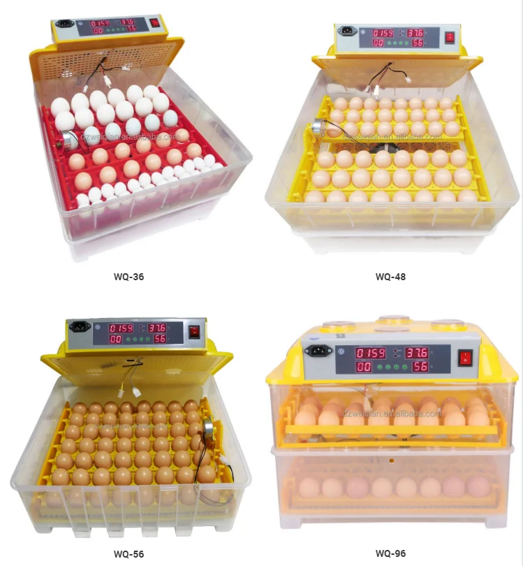 Weiqian 24 chicken incubator/ china incubators for egg hatching machine