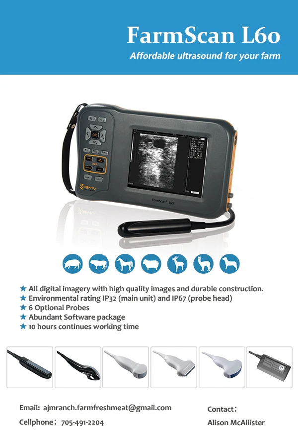 Cheap Price Animal Bovine Equine Reproductive Device Pregnancy Scanner Veterinary Ultrasound Machine Cow Ultrasound probe
