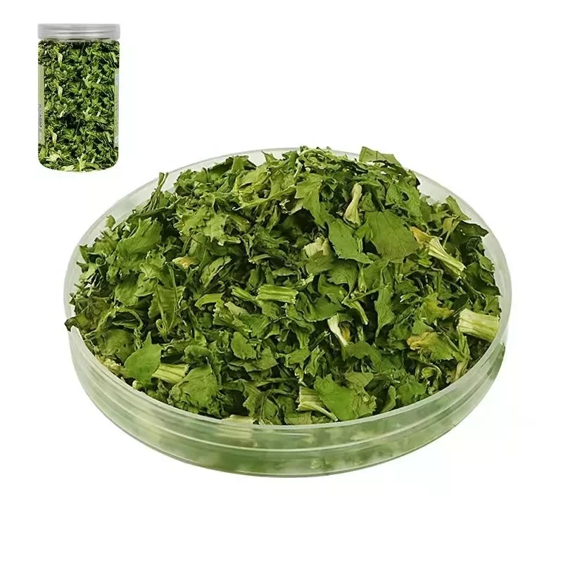 Food Grade AD Vegetables Coriander Leaves Single Herbs & Spices Green Dried Leaves in Good Price 10MT/20FCL 20kg/carton 20 Kg